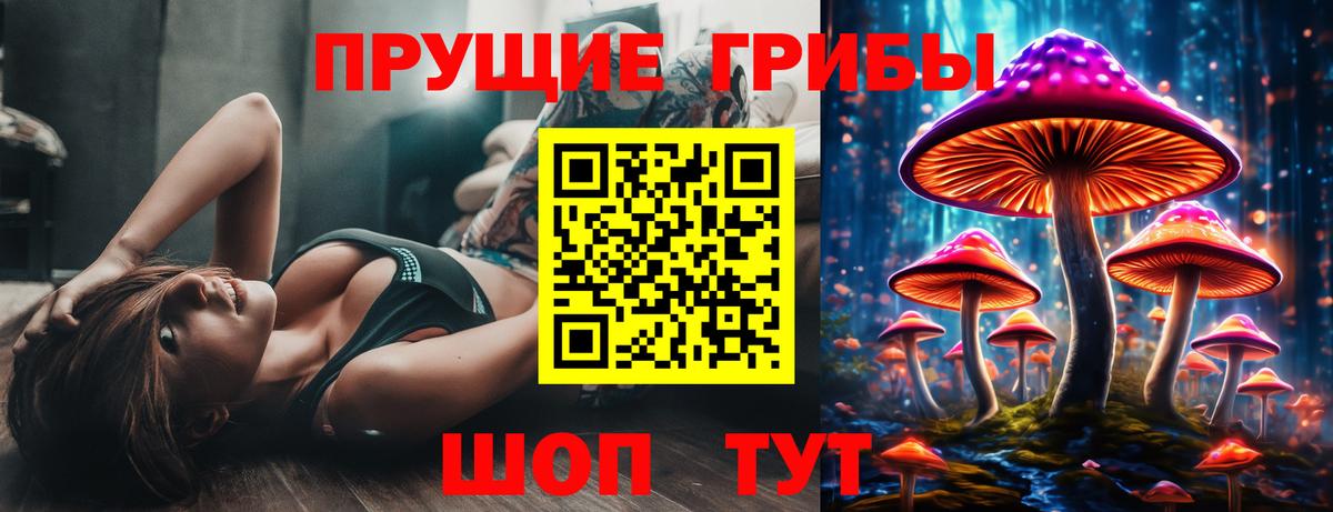 Псилоцибиновые грибы MAGIC MUSHROOMS  Галлюциногенные грибы мицелий  Зеленогорск  Вход с VPN 