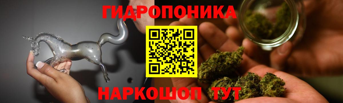 Канабис семена  МАРИХУАНА тримм  Марихуана AK-47  Зеленогорск  Вход с VPN  Марихуана LSD WEED 